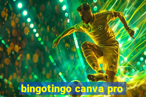 bingotingo canva pro